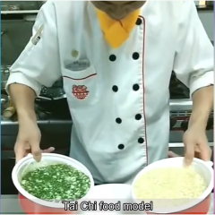Tai Chi food model