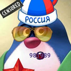 Тимур Телеспутник