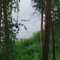 В июне на реке Туре