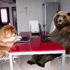 Вот это прикол