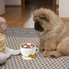Кофе будешь