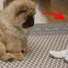 Когда кругом всё удивительно ничто не вызывает удивления