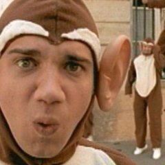 Monkeys