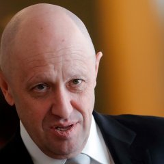 Очковый ревун пригожин
