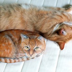 Подушка для кота
