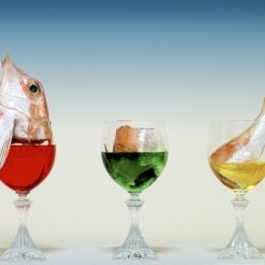 Пьяная рыба решила спеть