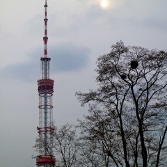 Укол в жопу