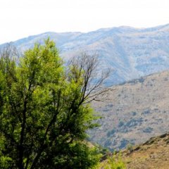 В казахских горах
