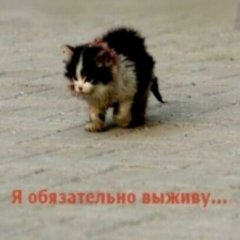 Я обязательно выживу