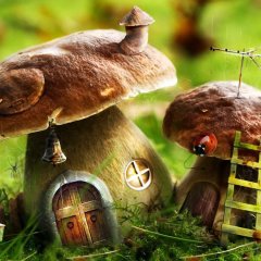 Белые грибы от от Юлии Кудрявой