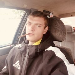 Быдло