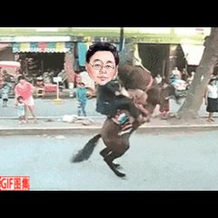 Elbegdorj falling off the horse