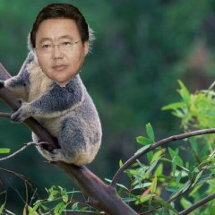 Elbegdorj koala