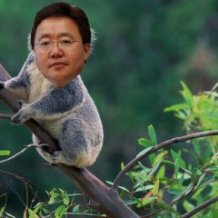 Elbegdorj Koala