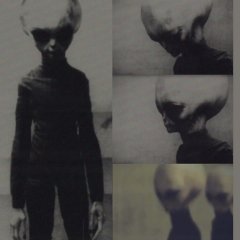 Grey Alien - Биомашина