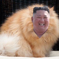 Ким Чен Гарфи злой кот