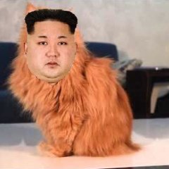 Ким Чен гарфи злой кот