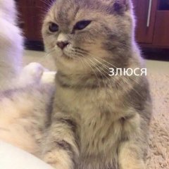 Люся