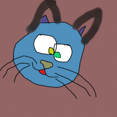 Риткин кот Томас