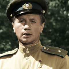 Быков в бой идут одни старики