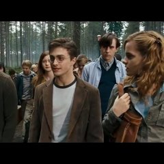 Гарри поттер и принц полукровка