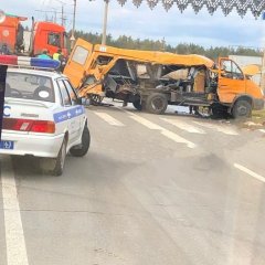 Газель