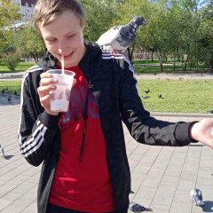 Голубок