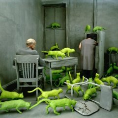 Коты из Марса