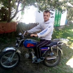 Полд