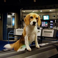 Porthos - Enterprise NX-01