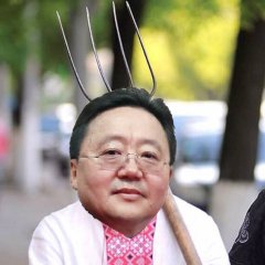 Цахиа Элбэгдорж с вилой