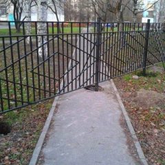 Дорога