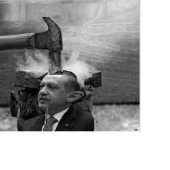 Эрд молот бошка