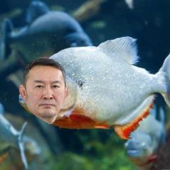 Khaltmaagiin Battulga piranha