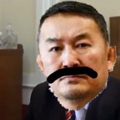 Khaltmaagiin Battulga principal in Thatll Teach Em