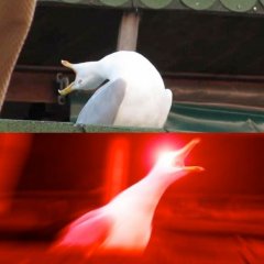 Орушая птица