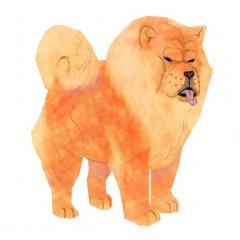 Angry dog