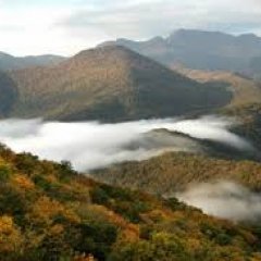 Арцах не кишлак