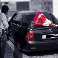Чёткие в евразии