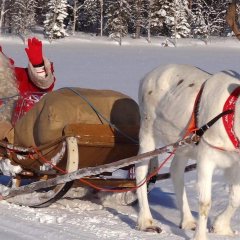 Elbegdorj the santa getting pulled by a sled