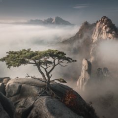 Горащщ