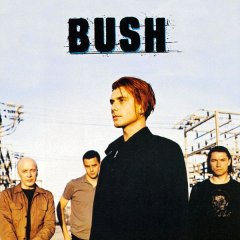 Группа Bush