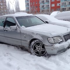 Мерс кабан