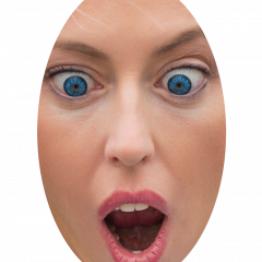 PAKMENLUD