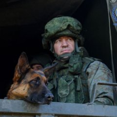 Собака-миротворец