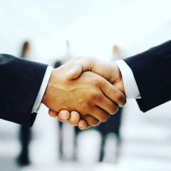 Сотрудничество