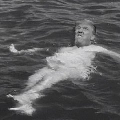 Трамп злой плавает