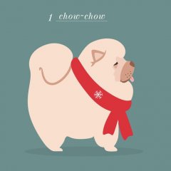 Winter Chow Chow