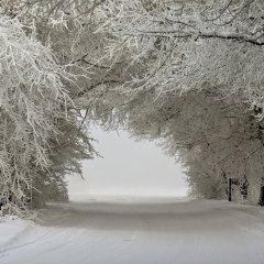 Зимняя дорога