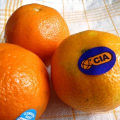 Cia